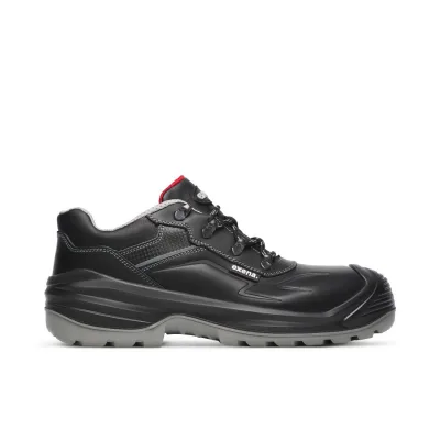 Exena SILVER_24 S7S FO CI HI HRO SR