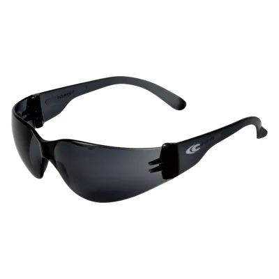 COFRA Roundfit (szürke sf) BOX10DB védőszemüveg
