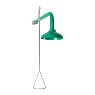 Sir Safety Wall mounted shower