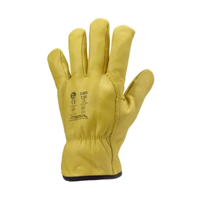 Coverguard Eurowinter finlande