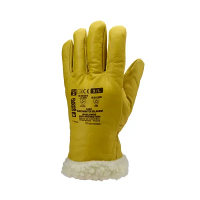 Coverguard Eurowinter islande