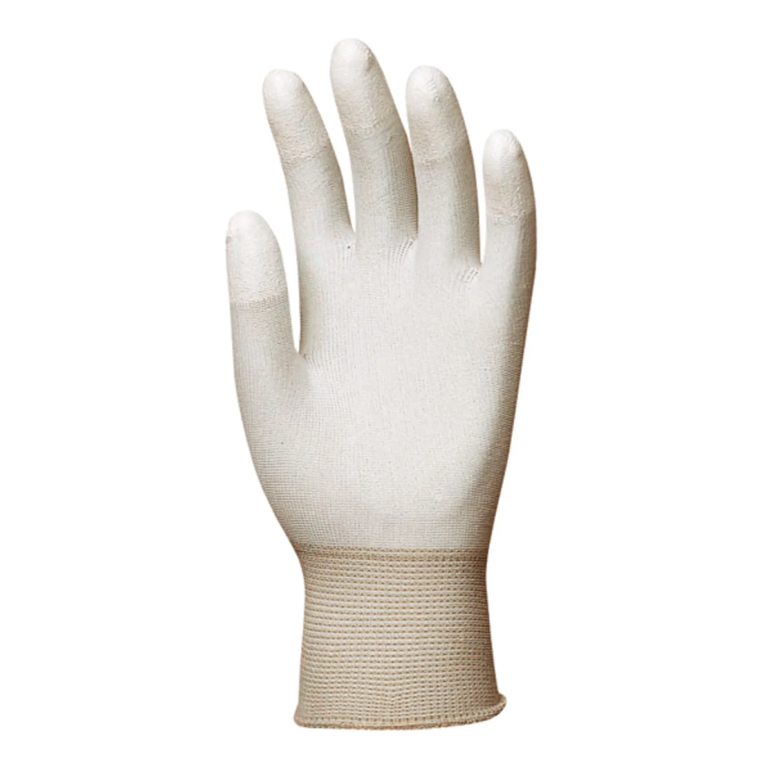 Coverguard EUROLITE 6160 Fehér