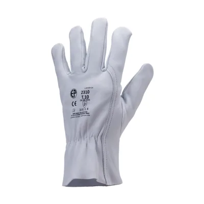 Coverguard Eurostrong 2310 gan
