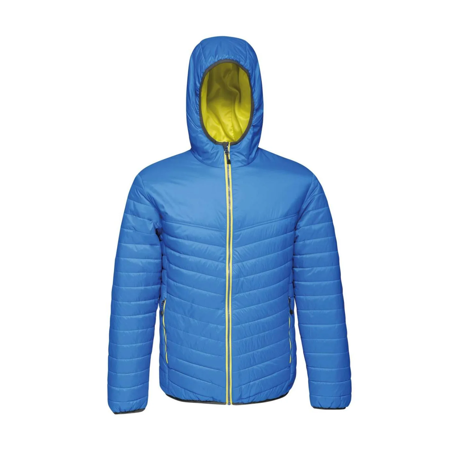 Regatta Acadia ii dzseki Oxford Blue/Neon Spring