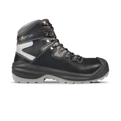 Exena Gold S3 CI WR HI HRO SRC