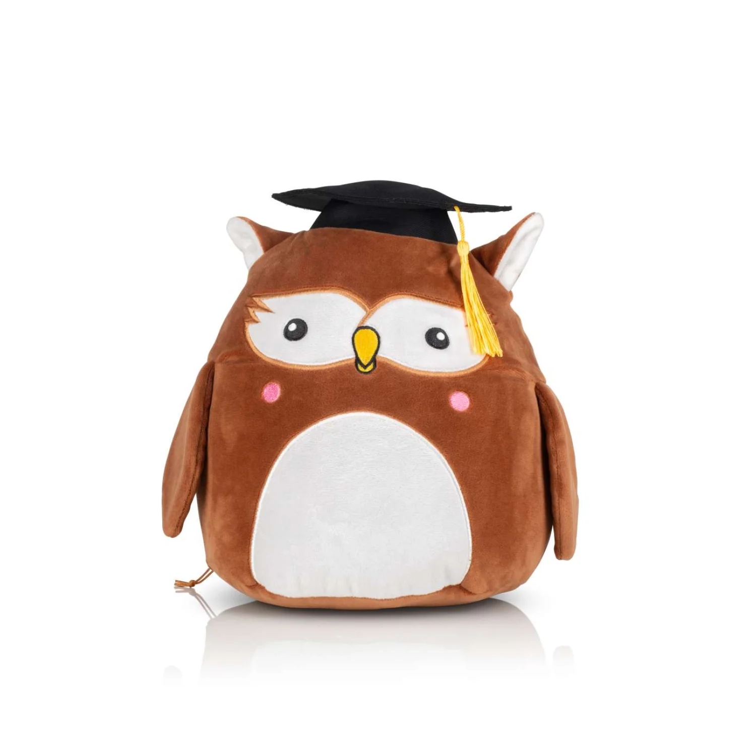 Squidgy wise owl