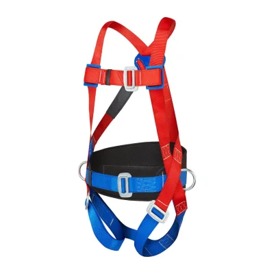 Portwest 2 pontos testheveder
